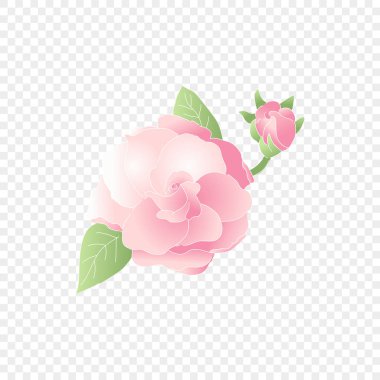 İzole edilmiş pembe çiçek. Vektör çiçek