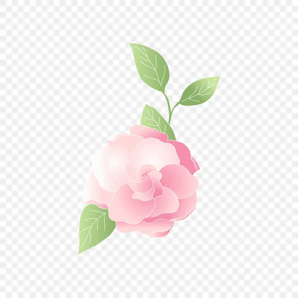 Isolated pink flower. Vector floral