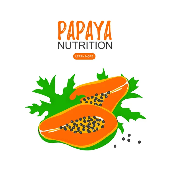Papaia nutrição poster modelo conceito design —  Vetores de Stock