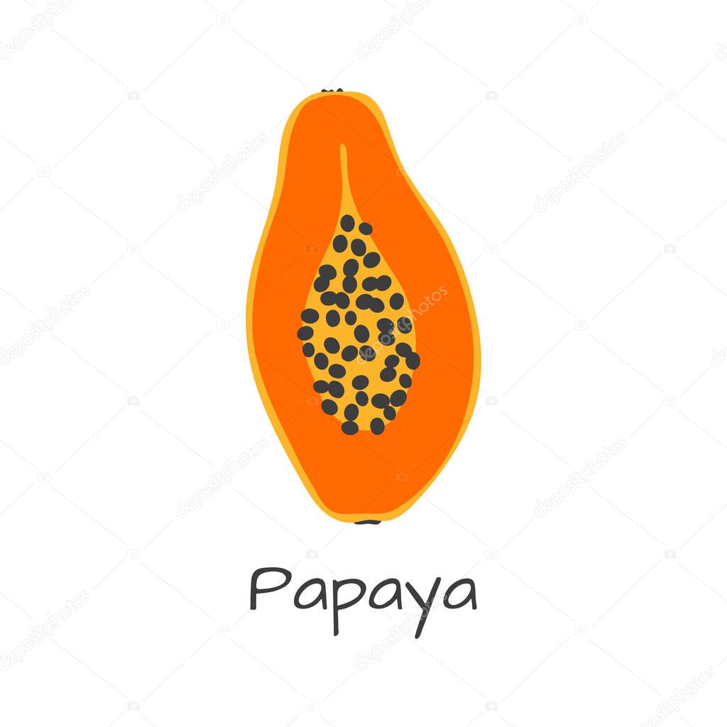 Isolated vector papay icon. Orange fruit logo design concept. Silhouette food papaw in modern flat style. Illustration for background