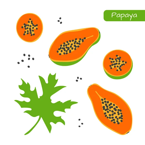 Набор изолированных фруктов и листьев папайи — стоковый вектор
