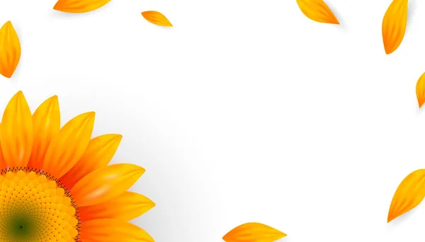 Banner mit realistischen Sonnenblumen und gelben Blütenblättern — Stockvektor