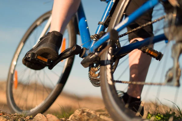 在日出的路上 骑山地自行车的骑车人的低角度观看 体育和活跃生活概念 — 图库照片