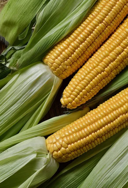 Drei Gelbe Maiskolben Blättern Ansicht Von Oben — Stockfoto