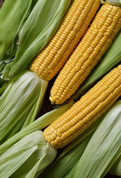 Drei Gelbe Maiskolben Blättern Ansicht Von Oben — Stockfoto