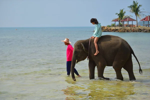Κορίτσι Ελέφαντα Νερό Ταϊλάνδη Νησί Chang — Φωτογραφία Αρχείου