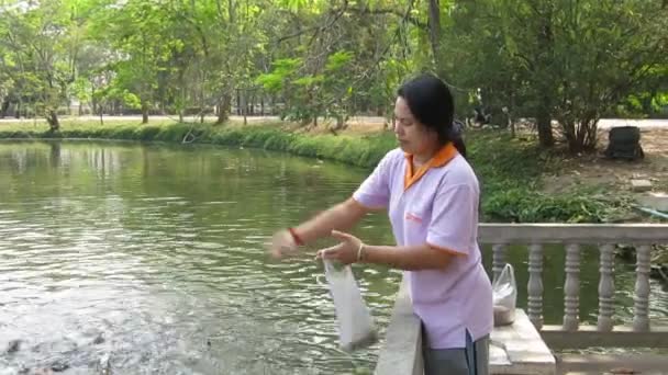 泰国野生动物园 2012 在湖里喂鱼的年轻泰国妇女 — 图库视频影像