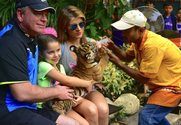 Tayland - 2014 yaklaşık: küçük kaplan safari park şişede süt ile mutlu aile 
