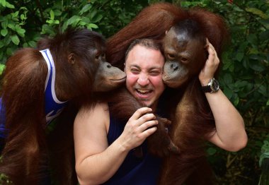 Tayland - 2014 yaklaşık: iki büyük maymunları safari Park ile yakalama için poz erkek turist    