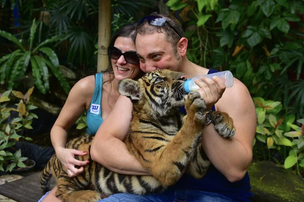 Thailand 2014 Glückliche Familie Füttert Kleinen Tiger Mit Milchflasche Safaripark — Stockfoto