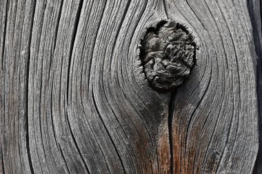 gri ahşap arka plan kopya alanı ile