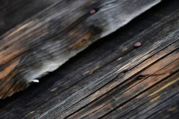コピー スペースを持つ灰色の木製の背景 — ストック写真