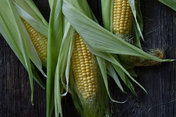 Frische Süße Gelbe Maiskolben — Stockfoto