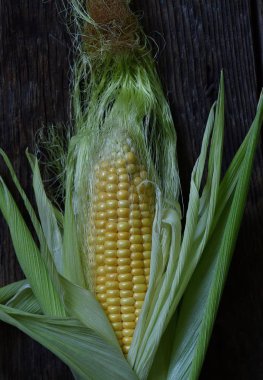 Taze tatlı sarı Mısır Mısır koçanı