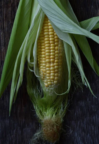 Frische Süße Gelbe Maiskolben — Stockfoto