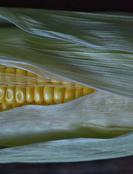 신선한 달콤한 옥수수 옥수수 — 스톡 사진