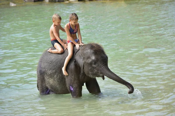 Nehri, fil sürme çocuklar Tayland Ko Chang 