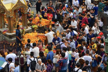 İnsanlar dua, Buda, Bangkok 