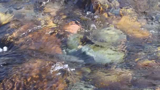 Zuiver Glaciale Water Berg Rivier Bergen Van Kirgizië — Stockvideo