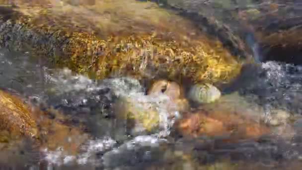 Czystej Wody Polodowcowe Rzeki Górskie Górach Kirgistanu — Wideo stockowe