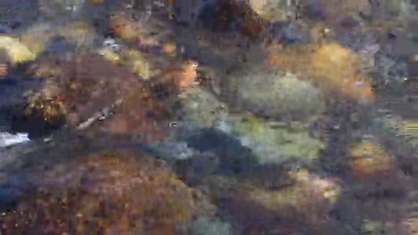 純粋な氷河水 キルギスの山中山川 — ストック動画