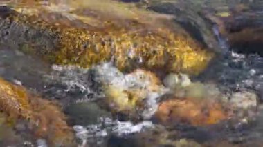 Saf buzul su. Kırgızistan dağlarında dağ nehir 