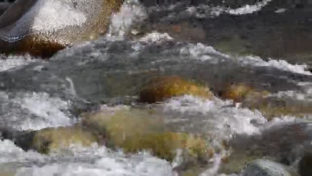 纯净的冰川水 吉尔吉斯斯坦山区的山河 — 图库视频影像