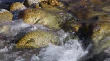 Saf buzul su. Kırgızistan dağlarında dağ nehir 