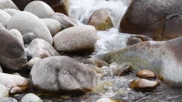 Agua Viva Agua Glacial Las Montañas Kirguistán — Vídeo de stock