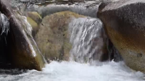 Živá Voda Ledovcová Voda Horách Kyrgyzstánu — Stock video