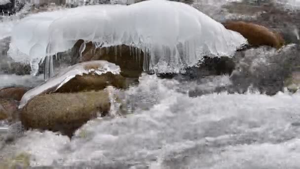 Νερού Που Ζουν Αγνό Κρυσταλλικό Νερό Ποτάμι Βουνό Στα Βουνά — Αρχείο Βίντεο