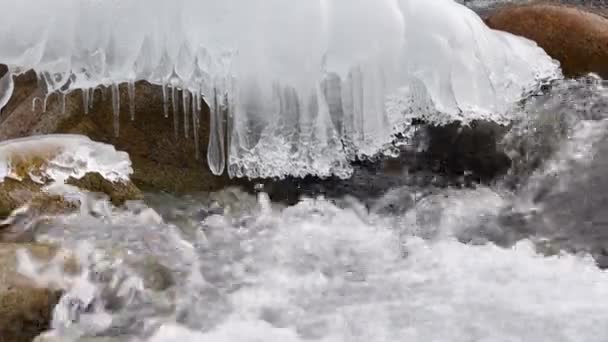 水の生活 純粋な氷河水 キルギスの山中山川 — ストック動画