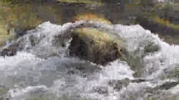 Agua Glacial Pura Río Glacial Montaña Las Montañas Kirguistán — Vídeo de stock