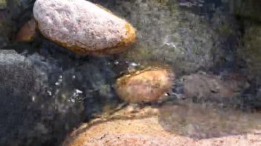 Saf buzul su. Kırgızistan dağlarında dağ buzul nehir 