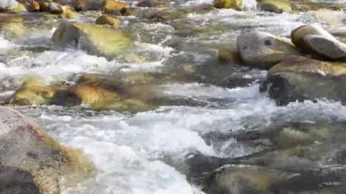 Saf buzul su. Kırgızistan dağlarında dağ buzul nehir 