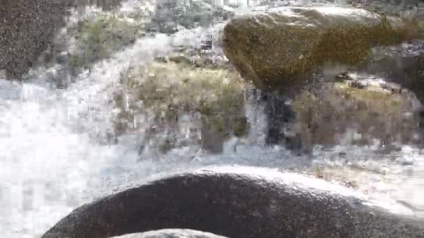 純粋な氷河水 キルギスの山中山氷河川 — ストック動画