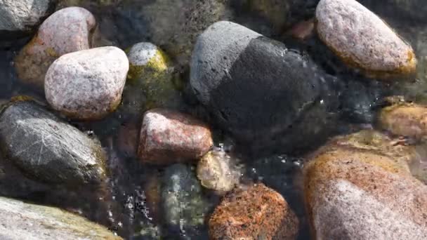 Zuiver Glaciale Water Berg Glaciale Rivier Bergen Van Kirgizië — Stockvideo