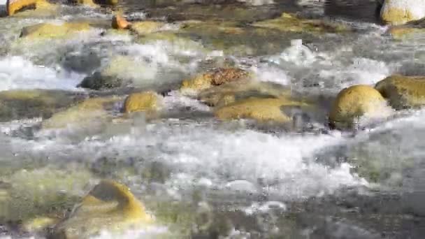 Čistá Voda Horská Ledovcová Řeka Horách Kyrgyzstánu — Stock video