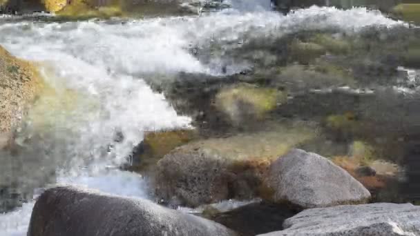 純粋な氷河水 キルギスの山中山氷河川 — ストック動画