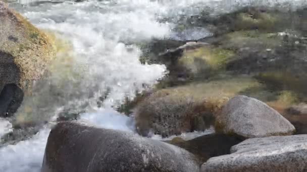 純粋な氷河水 キルギスの山中山氷河川 — ストック動画