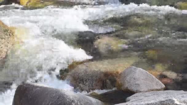 Αγνό Κρυσταλλικό Νερό Παγόμορφο Ποτάμι Βουνό Στα Βουνά Της Κιργιζίας — Αρχείο Βίντεο