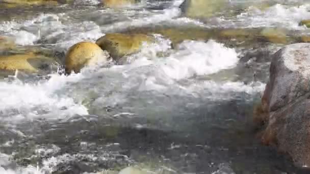 Αγνό Κρυσταλλικό Νερό Παγόμορφο Ποτάμι Βουνό Στα Βουνά Της Κιργιζίας — Αρχείο Βίντεο