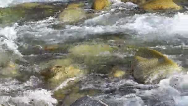 Agua Glacial Pura Río Glacial Montaña Las Montañas Kirguistán — Vídeos de Stock