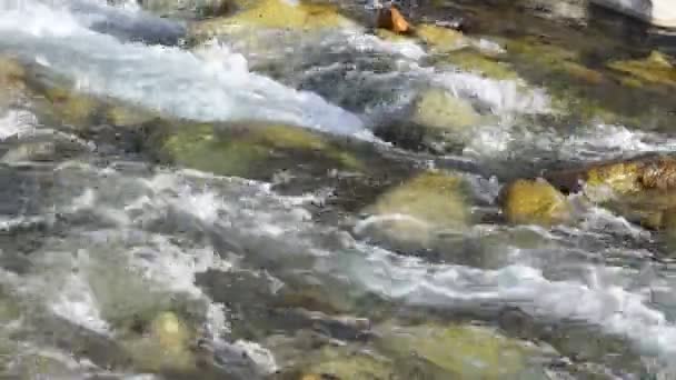 Agua Glacial Pura Río Glacial Montaña Las Montañas Kirguistán — Vídeos de Stock