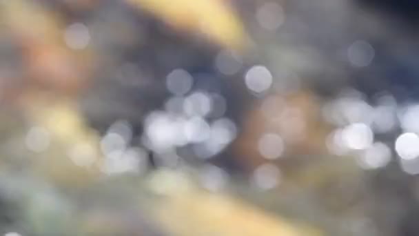 Сплеск Води Під Сонцем Швидка Гірська Річка Абстрактне Зображення — стокове відео