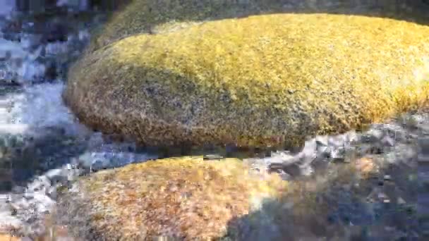 Água Cristalina Água Geleira Rio Montanha Tian Shan Montanhas — Vídeo de Stock