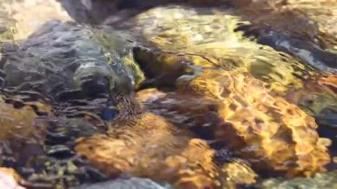 Bir dağ nehir saf buzul su. Tanrı Dağları, Kırgızistan. Ağır çekimde görüntü 