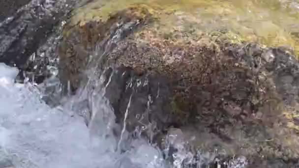 Pure Glacial Water Mountain River Tian Shan Kyrgyzstan Image Slow — Stock Video