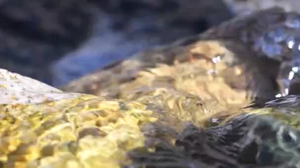 Agua Glacial Pura Río Montaña Tian Shan Kirguistán Imagen Cámara — Vídeos de Stock