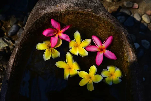 Beautiful flower composition. Composition of yellow and pink flowers on a rough stone bowl. Thailand, Pattaya 2018
